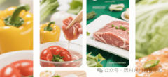 食物出产取畅通全过程进行平安办理的尺度化专