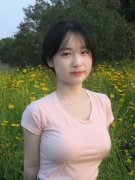 <b>击夕照本军机20多架</b>